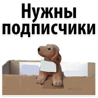 Подпишись, пожалуйста