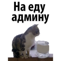 Подпишись, пожалуйста