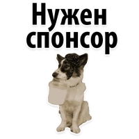 Подпишись, пожалуйста