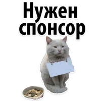 Подпишись, пожалуйста