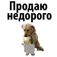 Подпишись, пожалуйста