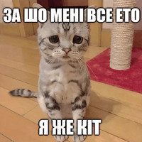 Коты-Украинцы