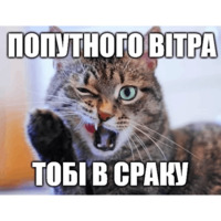 Коты-Украинцы
