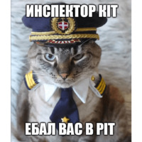 Коты-Украинцы