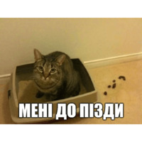 Коты-Украинцы