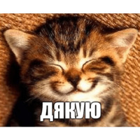 Коты-Украинцы