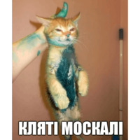 Коты-Украинцы