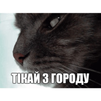 Коты-Украинцы