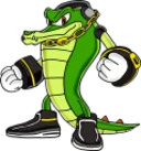 Sonic X