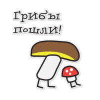 Сосновый бор