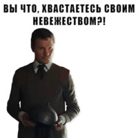 Из всех искусств