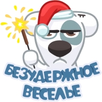 Новогодний Спотти