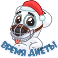 Новогодний Спотти