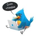 Solovey.ru
