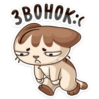 Учебные будни