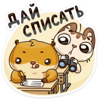 Учебные будни