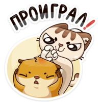 Учебные будни