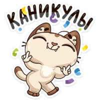 Учебные будни