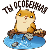 Лето с Сеней