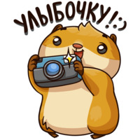 Лето с Сеней