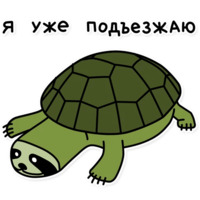 Свободный от забот 2
