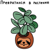 Свободный от забот 2