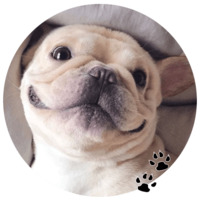 Бульдожки