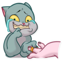 Милые кошечки