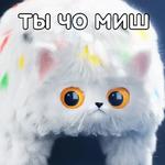 Талисманы Команды России