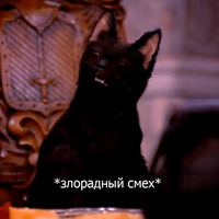 Кот Салем