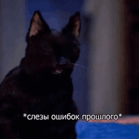 Кот Салем