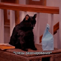 Кот Салем
