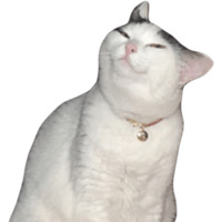 Эти ебучие коты