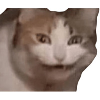 Эти ебучие коты