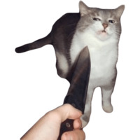 Эти ебучие коты