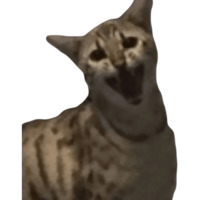 Эти ебучие коты