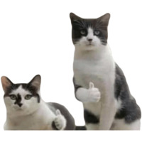 Эти ебучие коты
