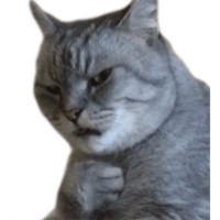 Эти ебучие коты