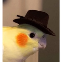 Попуги
