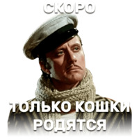 12 стульев