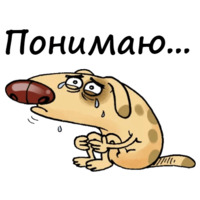 Жёлтый пёс
