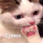 Это конец