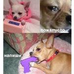 Это конец