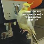 Это конец