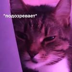 Это конец
