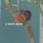 Это конец