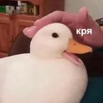 Это конец