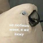 Это конец