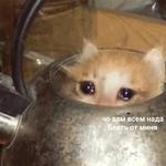 Это конец