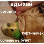 Это конец